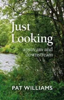 Just Looking. upstream and downstream, Paperback/Pat Williams