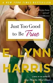 Just Too Good to Be True, Paperback/E. Lynn Harris