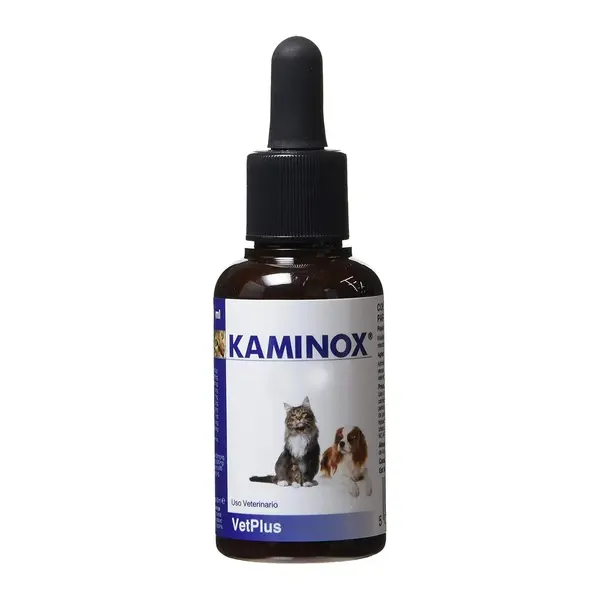 Kaminox, 60 ml