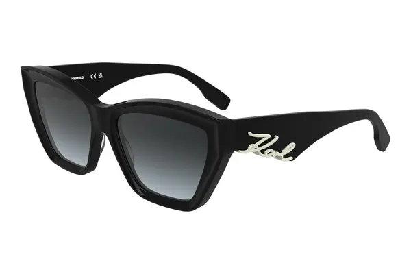 Karl Lagerfeld KL6179S 001