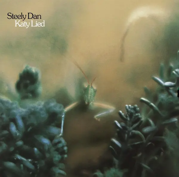 Katy Lied - Vinyl | Steely Dan