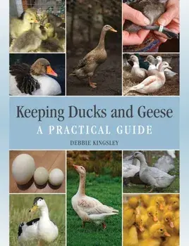 Keeping Ducks and Geese. A Practical Guide, Hardback/Debbie Kingsley