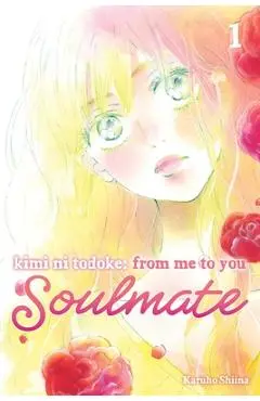 Kimi Ni Todoke: From Me to You: Soulmate, Vol. 1 - Karuho Shiina