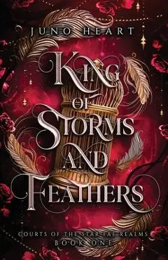 King of Storms and Feathers: A Fae Fantasy Bully Romance - Juno Heart