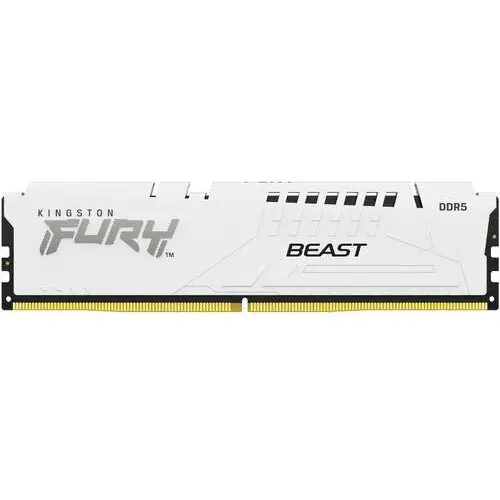 Kingston Memorie Kingston FURY Beast, 32GB DDR5, 5600MHZ CL40