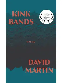 Kink Bands, Paperback/David Martin
