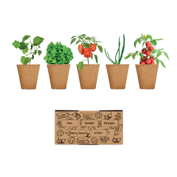 Kit crestere salata Kit crestere salata