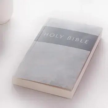 KJV Budget Softcover Silver, Paperback/***