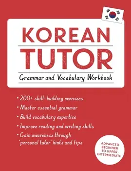 Korean Tutor: Grammar and Vocabulary Workbook (Learn Korean with Teach Yourself). Advanced beginner to upper intermediate course, Paperback/Derek Driggs