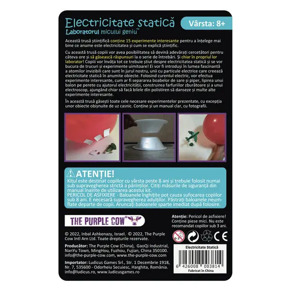 Laboratorul micului geniu - Electricitate statica | The Purple Cow
