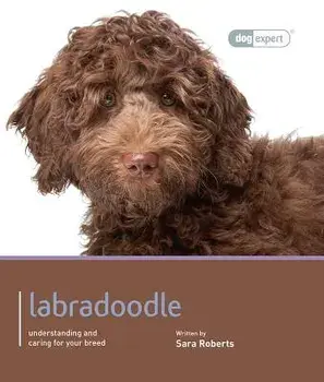 Labradoodle, Paperback/Sarah Rogers