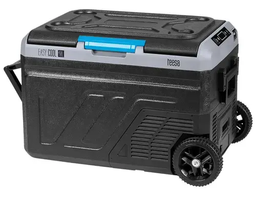 Lada frigorifica profesionala Teesa TSA6002, compresor, 40L (Negru)