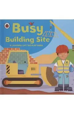 Ladybird lift-the-flap book: Busy Building Site - Amanda Archer