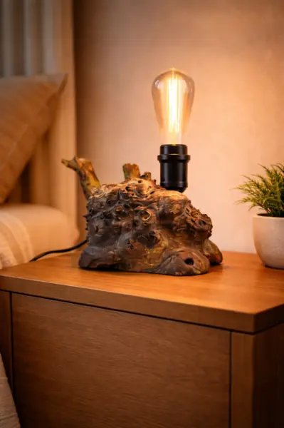 Lampa din radacina de plop masiv , forma naturala bruta bec Edison, handmade