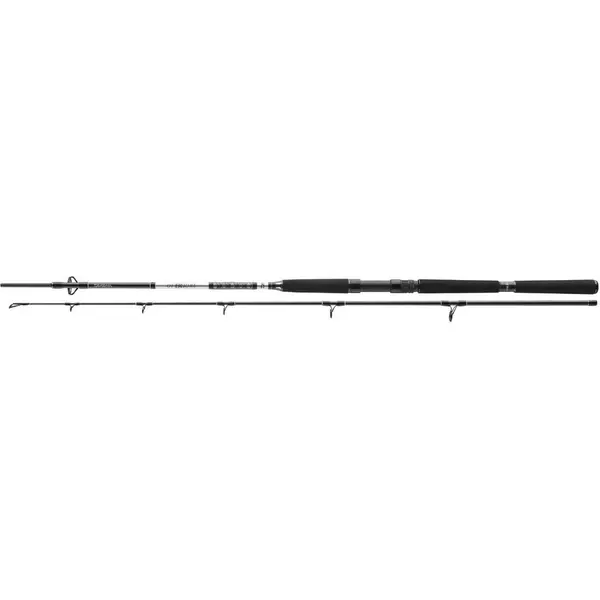 Lanseta BG Offshore Pilk 2.70m 40-125g