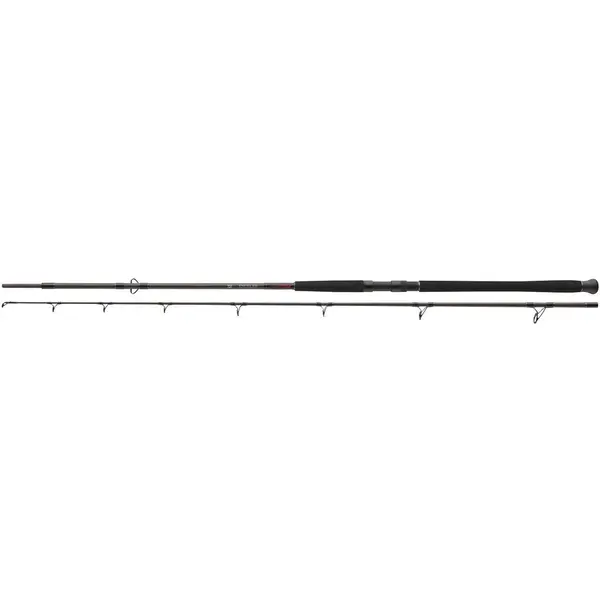 Lanseta Exceller Catfish Boje 3.00M 200-600G