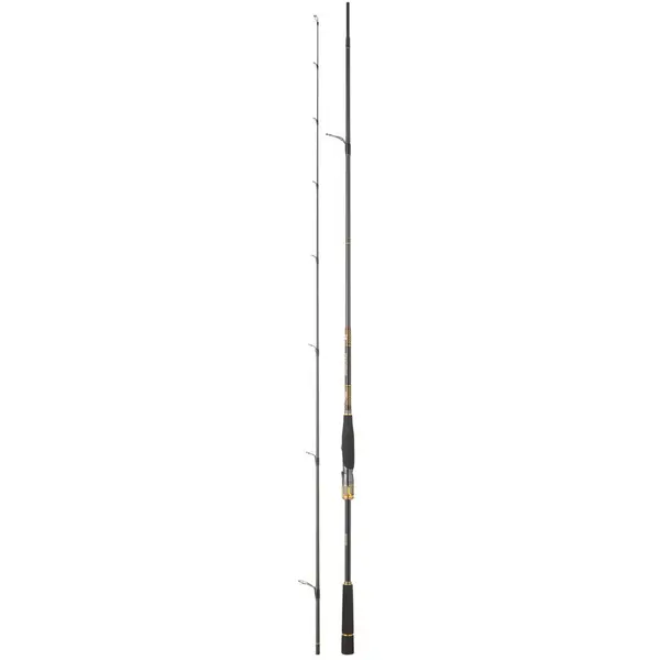 Lanseta Morethan Branzino Expert 2.24m 10-35g