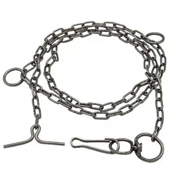 Lant Zincat pentru Caine, 6 mm x 2 m, Zilan