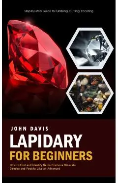 Lapidary for Beginners: Step by Step Guide to Tumbling, Cutting, Faceting (How to Find and Identify Gems Precious Minerals Geodes and Fossils - John Davis