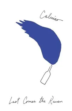Last Comes the Raven: And Other Stories - Italo Calvino