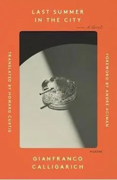 Last Summer in the City - Gianfranco Calligarich