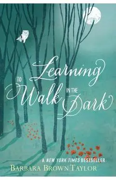 Learning to Walk in the Dark: Because Sometimes God Shows Up at Night - Barbara Brown Taylor