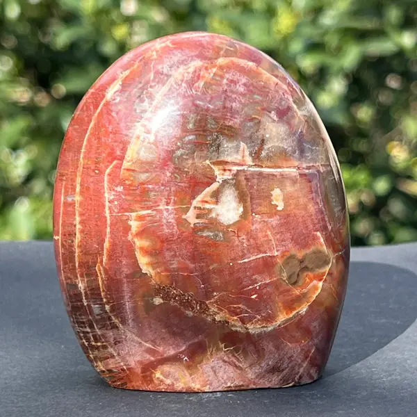 Lemn pietrificat sculptura model 4