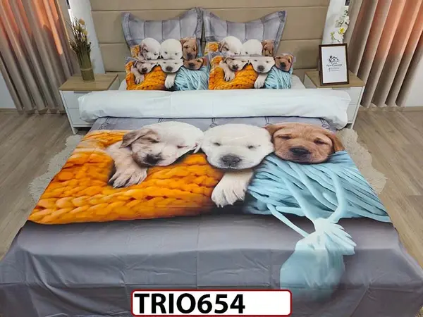 Lenjerie din finet 6 piese - TRIO654