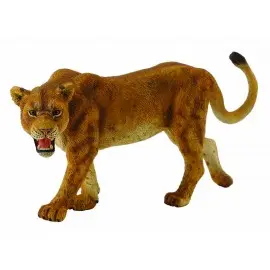 Leoaica