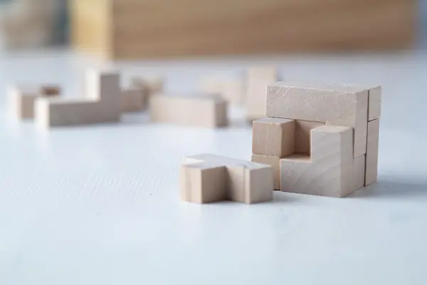 Leon joc puzzle