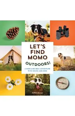 Let's Find Momo Outdoors!: A Hide-And-Seek Adventure with Momo and Boo - Andrew Knapp