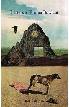 Letters to Emma Bowlcut - Bill Callahan