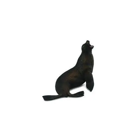 Leu de mare- Collecta