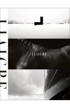 Liaigre: 12 Projects - Christian Liaigre
