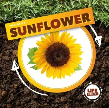Life Cycle of a Sunflower, Hardback/Kirsty Holmes