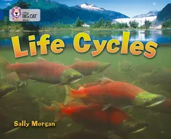 Life Cycles. Band 16/Sapphire, Paperback/Sally Morgan