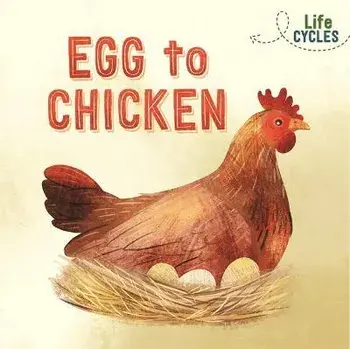 Life Cycles: Egg to Chicken, Paperback/Rachel Tonkin