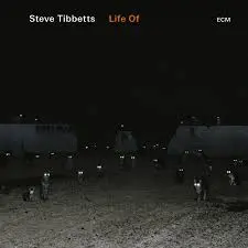 Life Of | Steve Tibbets