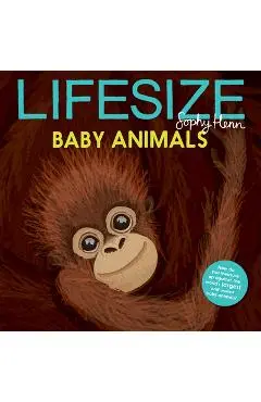 Lifesize Baby Animals - Sophy Henn