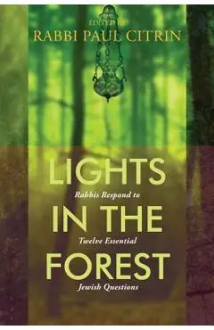 Lights in the Forest: Rabbis Respond to Twelve Essential Jewish Questions - Paul Citrin
