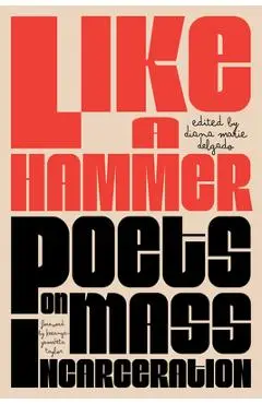 Like a Hammer: Poets on Mass Incarceration - Diana Marie Delgado