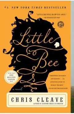Little Bee - Chris Cleave