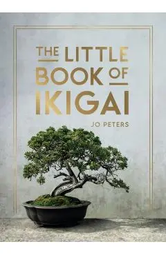 Little Book of Ikigai - Summersdale Publishers