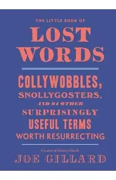 Little Book of Lost Words - Joe Gillard