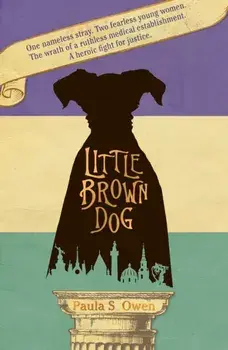 Little Brown Dog, Paperback/Paula S Owen