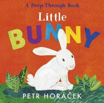 Little Bunny, Board book/Petr Horacek