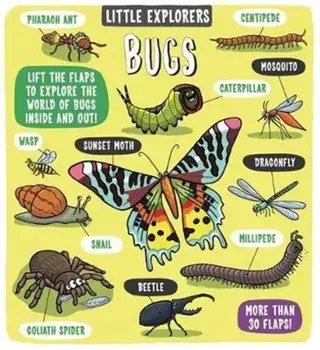 Little Explorers: Bugs, Hardback/Dynamo Ltd.