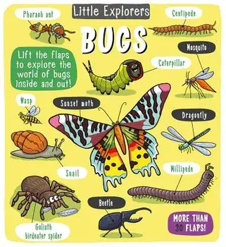 Little Explorers: Bugs, Hardcover/Little Bee Books