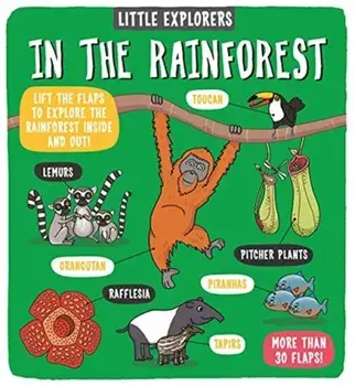 Little Explorers: In the Rainforest, Hardback/Dynamo Ltd.