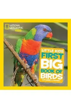 Little Kids Big Book of Birds